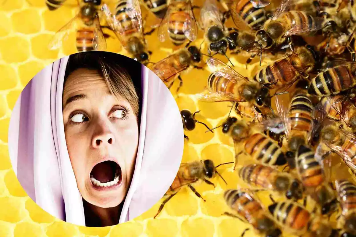 Fotomontaje de una mujer asustada con un panal de abejas