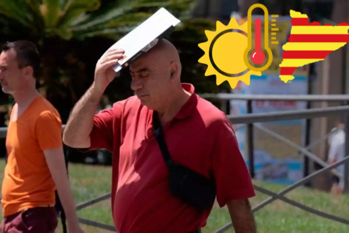 Un hombre usa un libro para protegerse del sol
