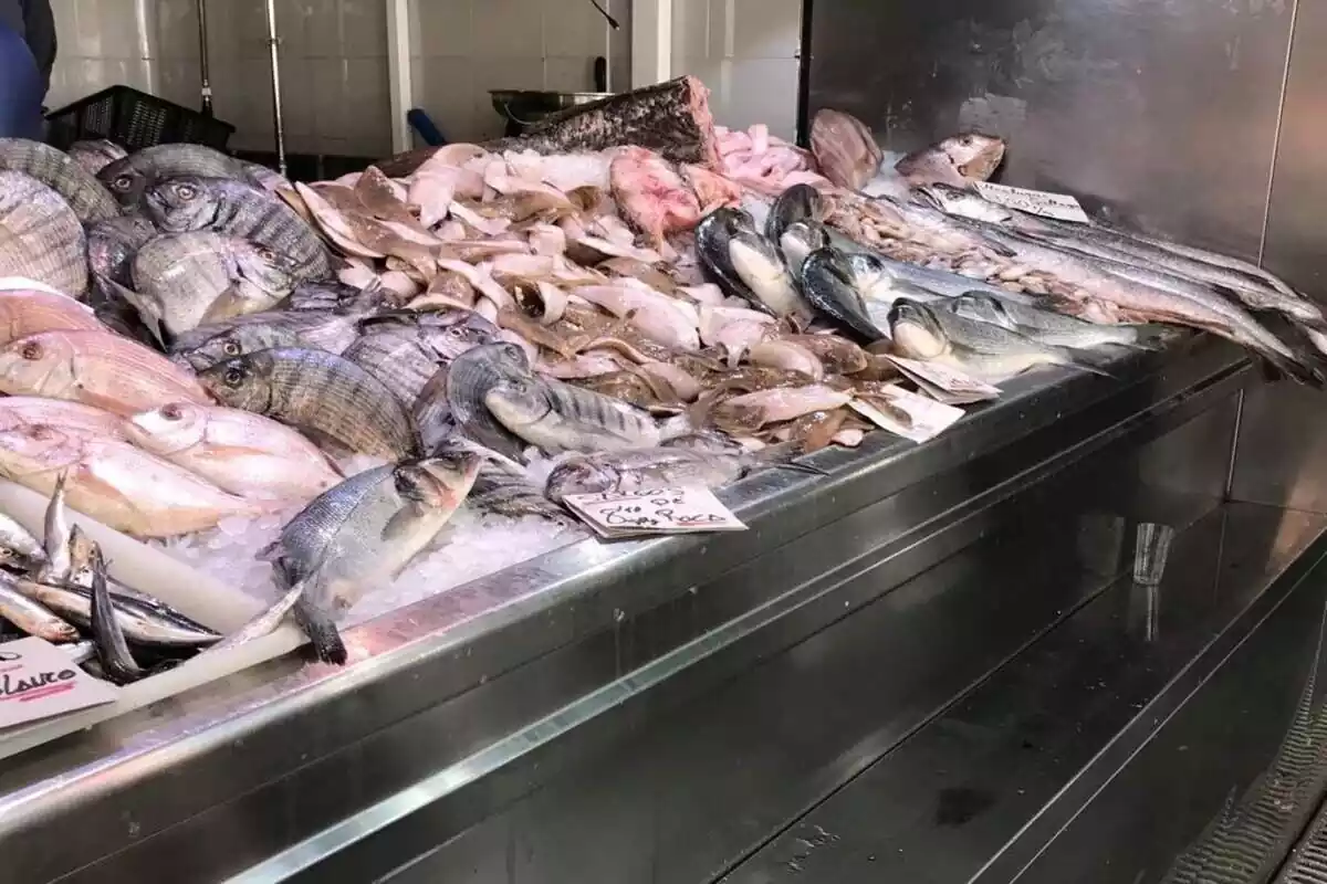 Porciones de pescado, en archivo