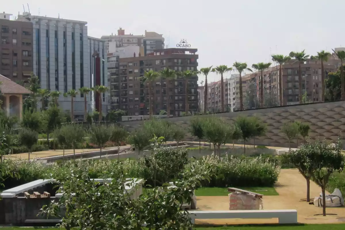 El Parque Central de Valencia, en archivo