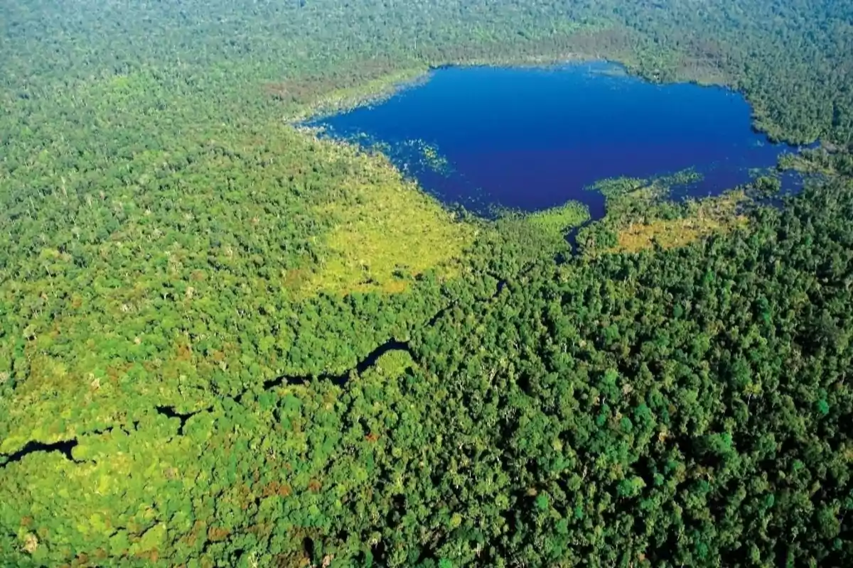 Vista aérea de un denso bosque tropical con un gran lago azul en el centro.
