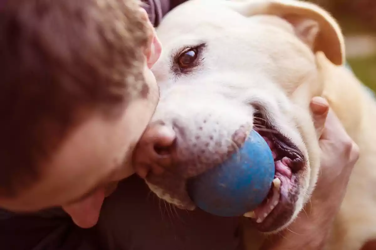Un hombre abrazando a un perro que sostiene una pelota azul en la boca.