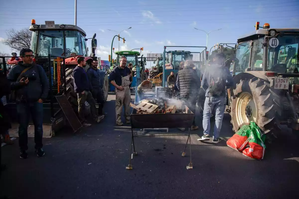 Agricultores y tractores durante una concentración en la entrada de Mercabarna, a 13 de febrero de 2024