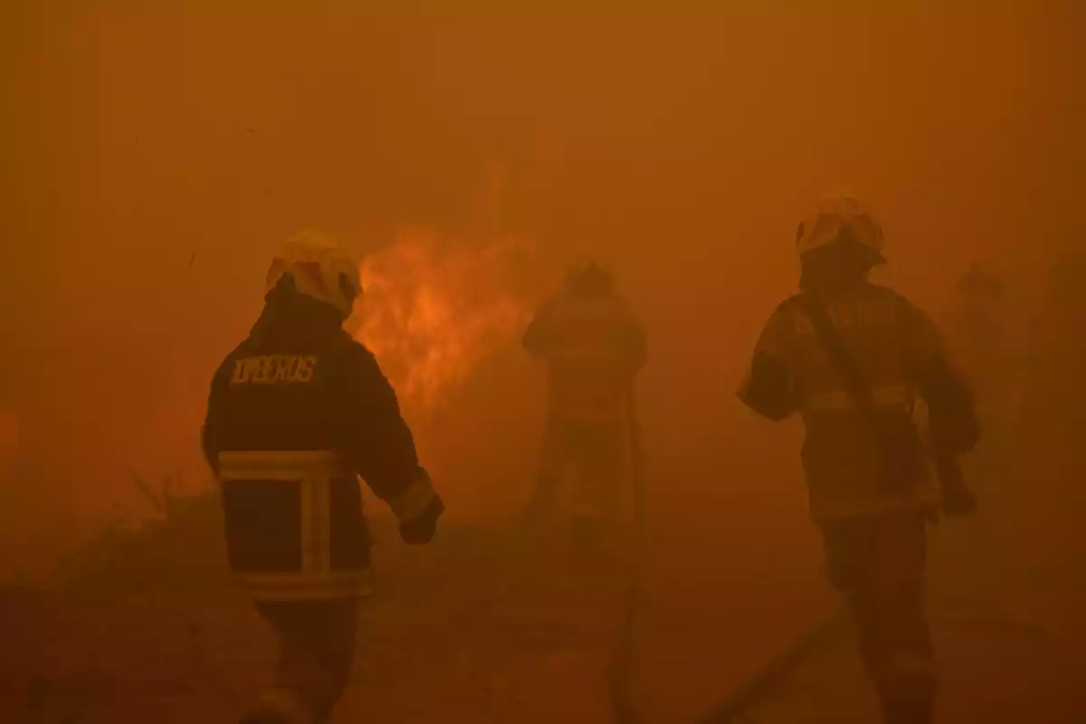 Bomberos trabajando por extinguir el incendio en Valparaíso, el pasado mes de febrero de 2024