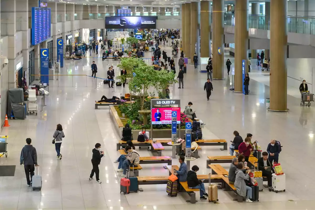 Personas caminando y esperando en un aeropuerto moderno con áreas de descanso, pantallas de información y vegetación decorativa.