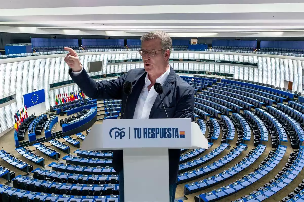 Feijóo - Parlamento Europeo