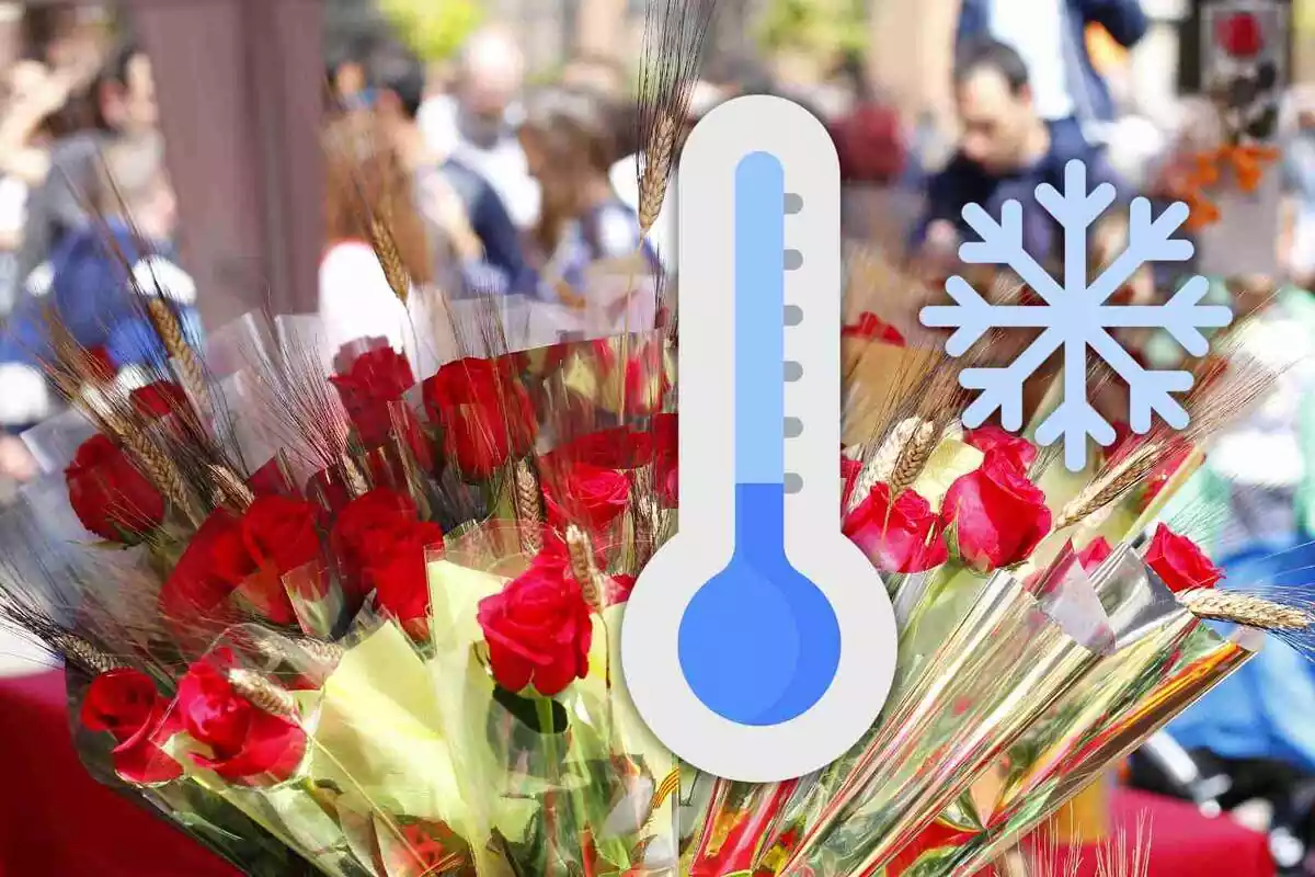 Rosas en venta en Sant Jordi con un termómetro superpuesto