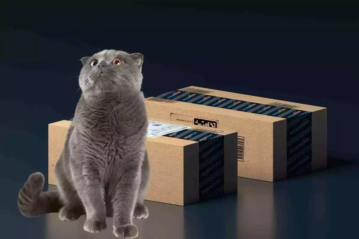 Un fotomontaje de un gato con un paquete de Amazon