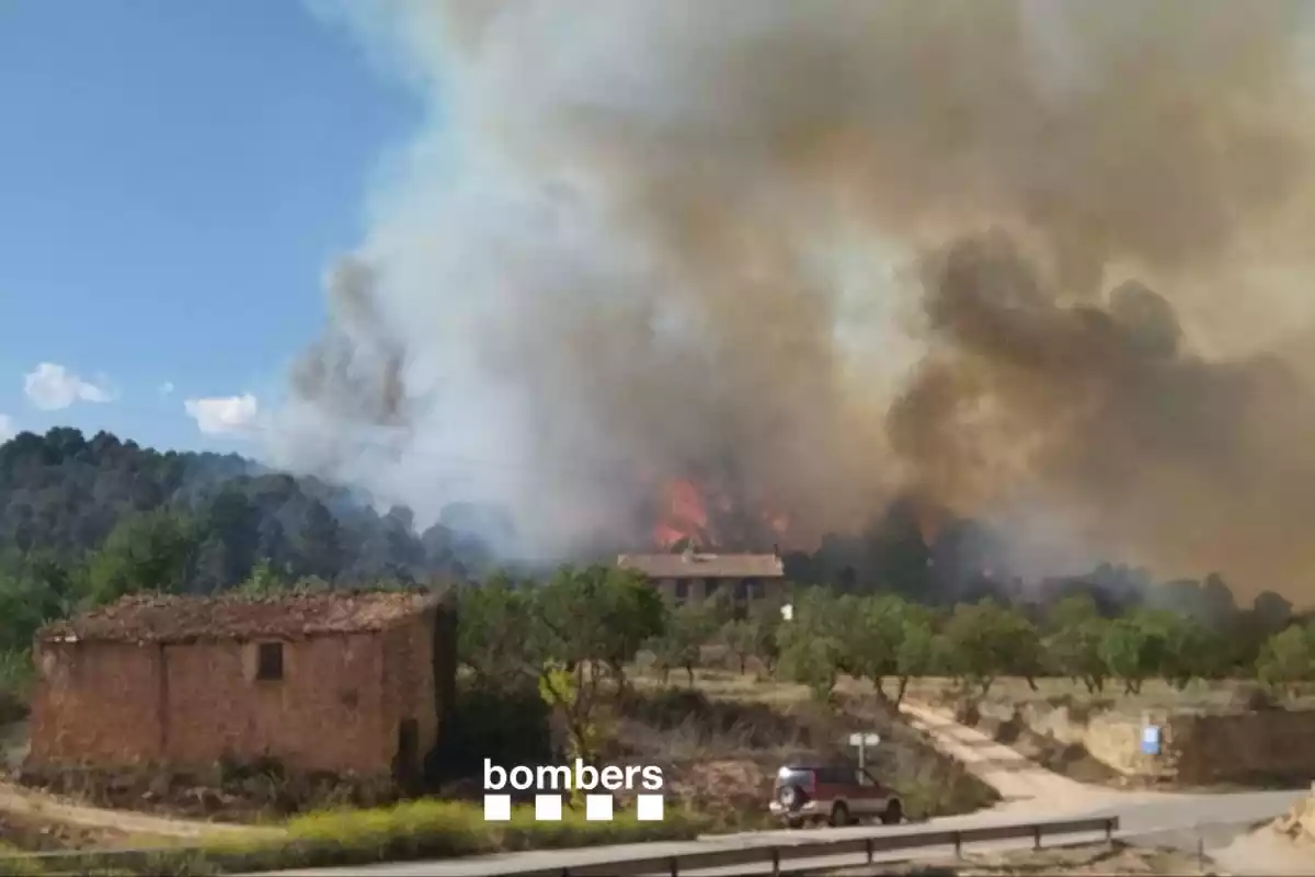 Imágen del incendio en Lledó