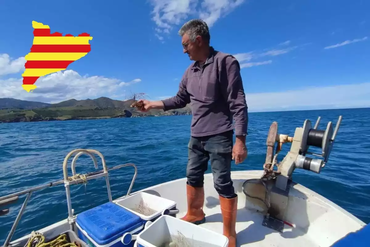 Life Ecorest con un símbolo de Cataluña