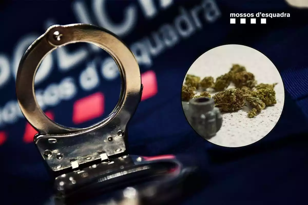 Imagen de Mossos d'Esquadra con una marihuana