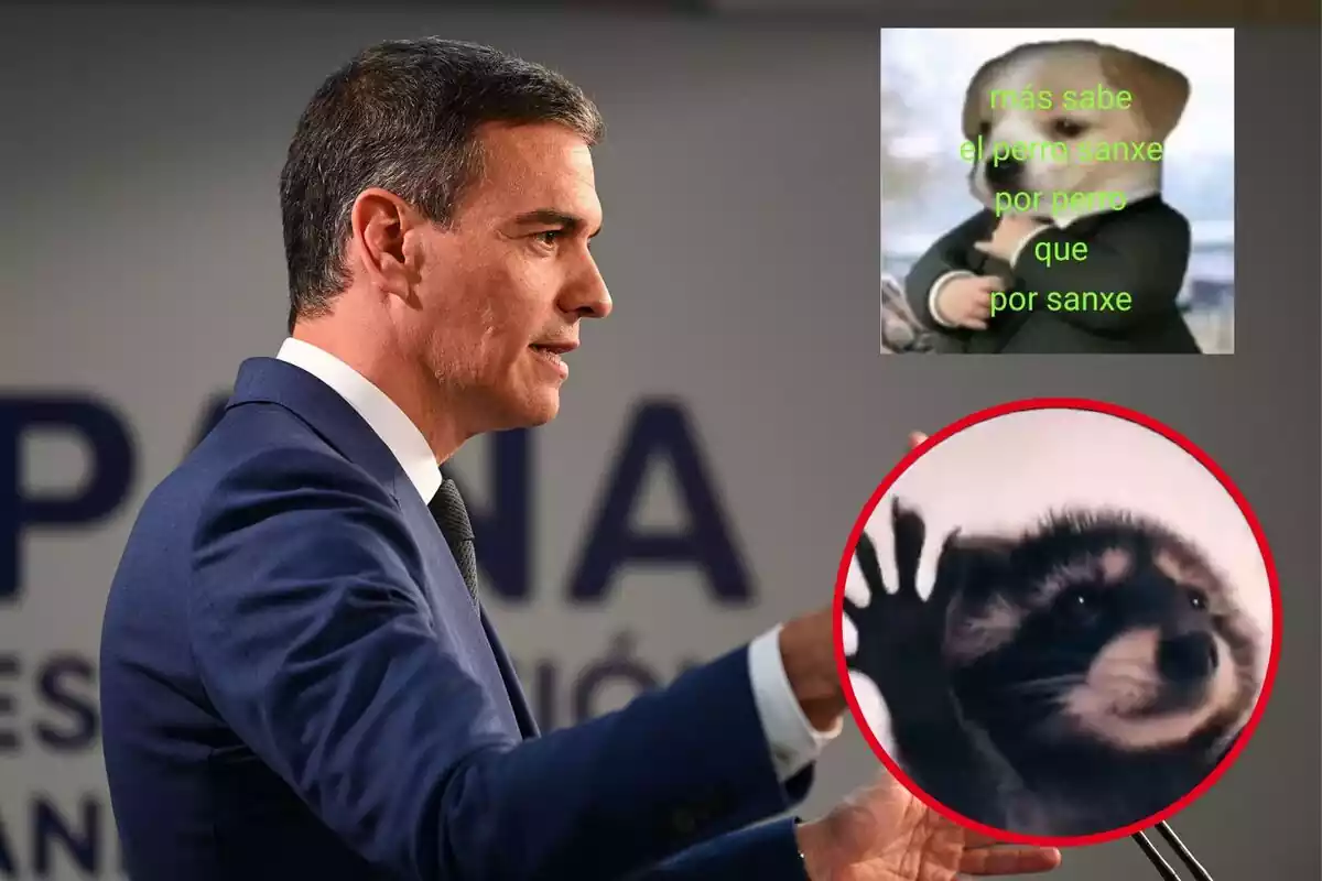 Pedro Sánchez con memes