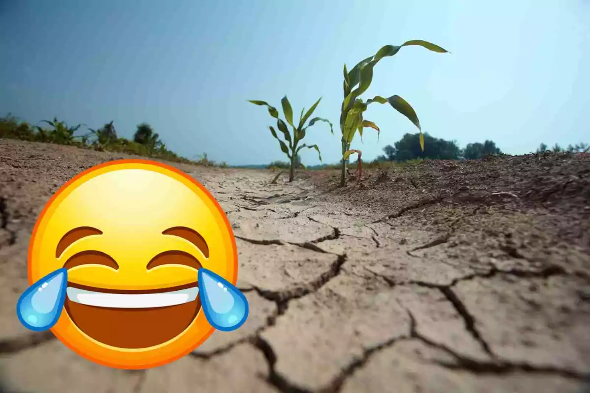 Una fotografía de la sequía con un emoticono de humor