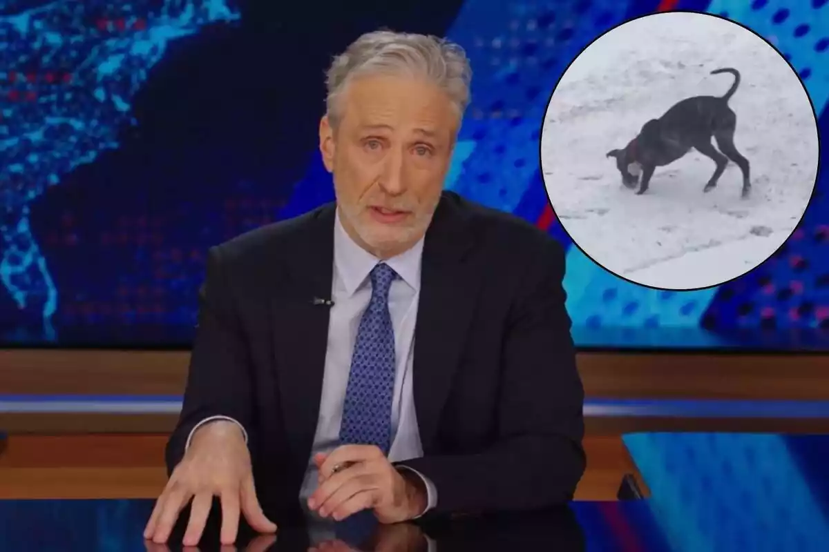 El presentador Jon Stewart junto a una foto de su perro