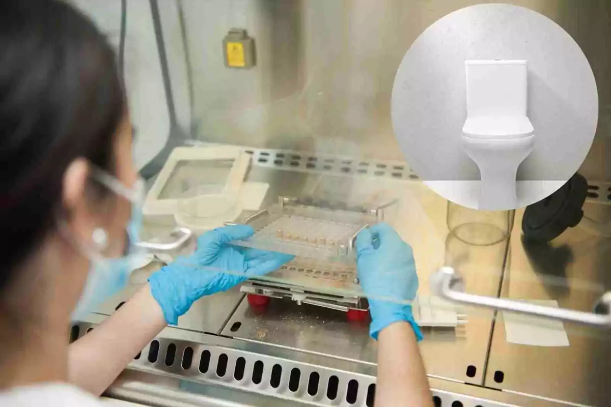 Persona con guantes azules trabajando en un laboratorio con una imagen de un inodoro superpuesta.